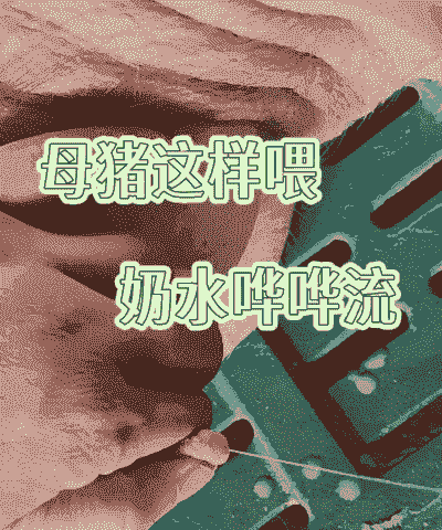 母猪产后怎么喂生鸡蛋液