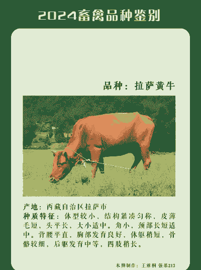 养牛养羊是什么业态类型