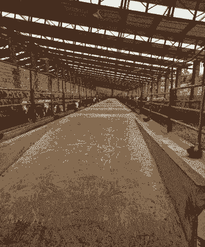 云南养牛养羊场地址电话