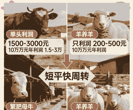 养牛和养羊的利润对比