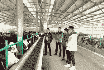 如何培训养羊养牛人员