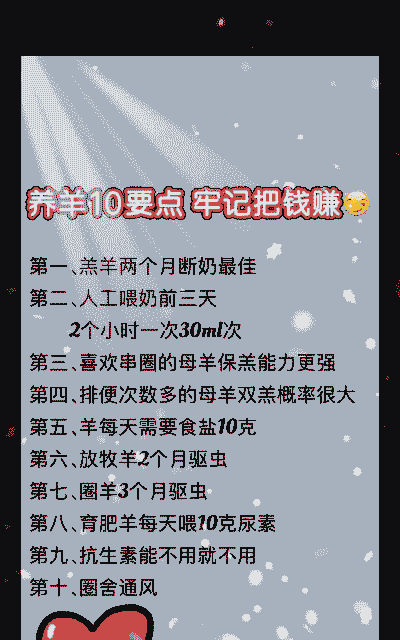 养牛养羊哪个容易养活呢