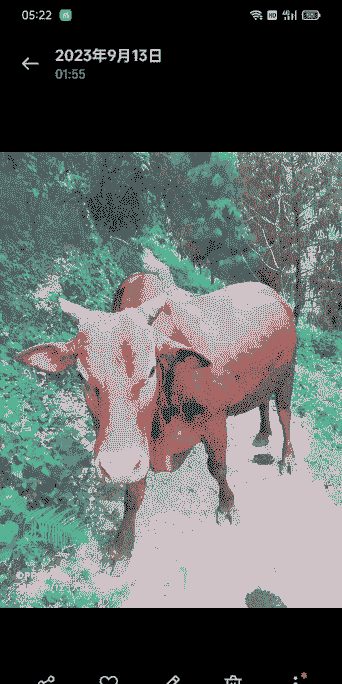 怎样在山上养牛养羊呢