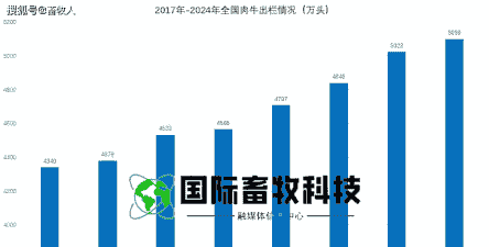 农场养牛与养羊的数量