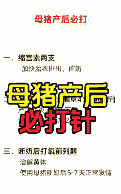 母猪的产后如何打消炎针