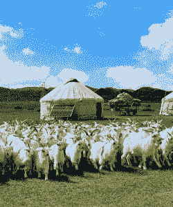 新疆适合养牛还是养羊