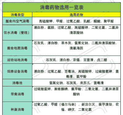 养牛养羊消毒方法有哪些