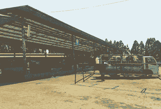 贵州养牛养羊场在哪里