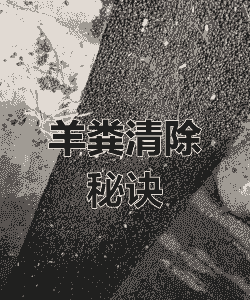 养羊养牛粪便怎么处理