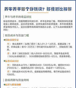 养牛和养羊哪个有优势