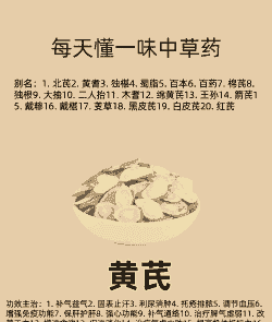 黄芪喂产后母猪的作用