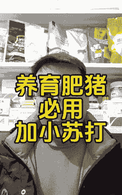 母猪产后吃小苏打好吗