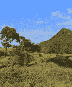 农村秸秆可以养牛养羊吗