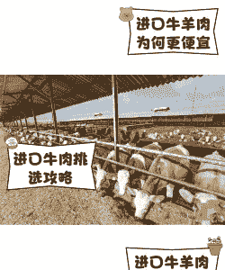 欧洲养牛多还是养羊多