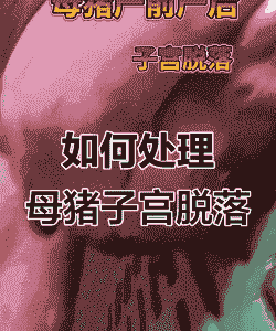 母猪产后子宫脱垂咋办呀