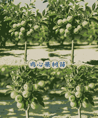 养羊养牛养鸡果树可以吗