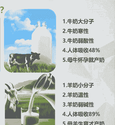 养牛和养羊哪个奶多些呢