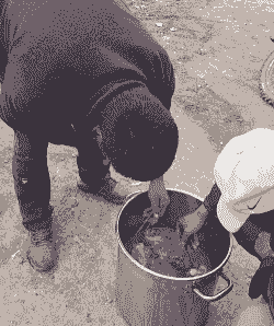 养牛又养羊的大爷是谁