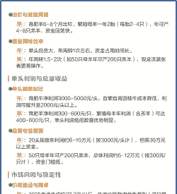 养牛与养羊哪个赚钱快