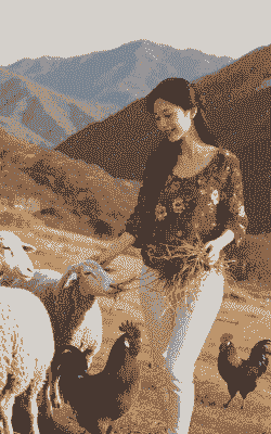 养牛养羊的美女是谁啊