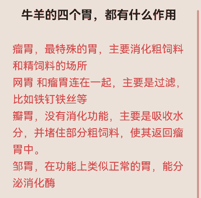 养牛养的羊有什么用途