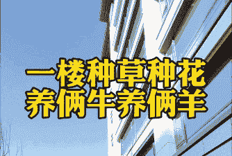 养牛和羊种什么草好养