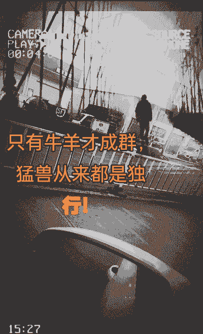 养牛养羊致富经典语录