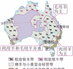 澳大利亚养牛和养羊分布