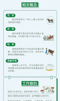 草原养牛不养羊的原因分析