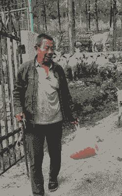 养牛养羊的大爷是谁啊