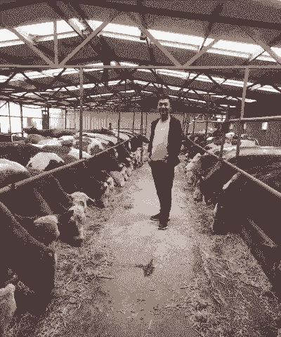 养牛养羊子的人叫什么