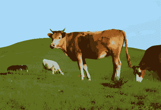 通辽人养牛养羊的地方在哪