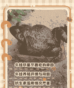 养羊和养牛蛙哪个好吃些