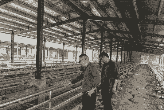 养牛养羊如何建养殖场