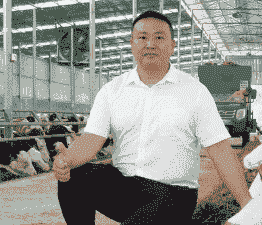 嵩县养牛养羊的老板是谁