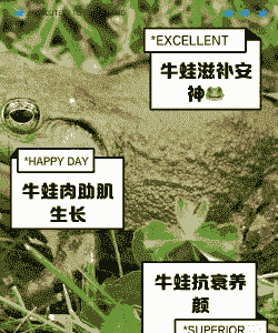 养羊和养牛蛙哪个好吃点