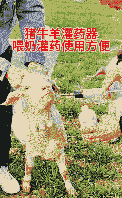 中药养猪养羊养牛可以吗