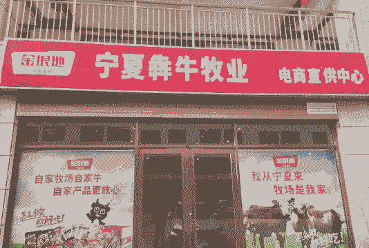 宁夏养牛养羊基地电话号