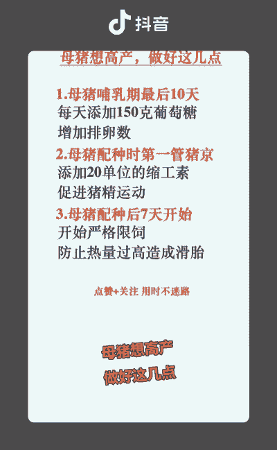 母猪流产后什么时候补钙