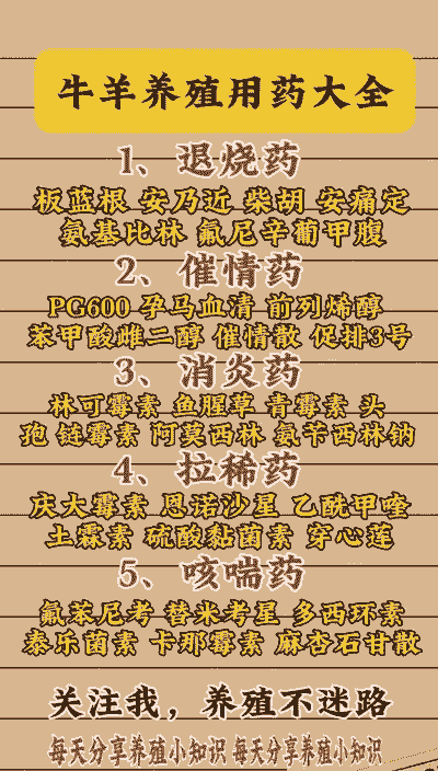 养牛养羊喂啥药好使些呢