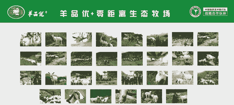 养牛养羊企业排名前十名