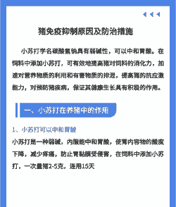 母猪产后几天吃小苏打片