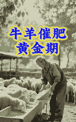 养牛养羊的专业技术有哪些