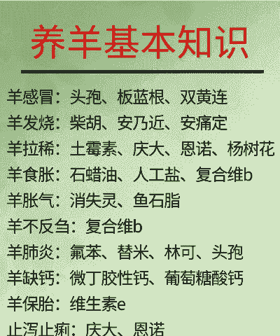 你到底是养牛还是养羊呢