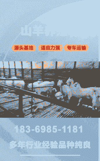 隆尧养牛场养羊场地址电话