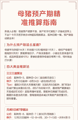 母猪产后多久才生小孩子