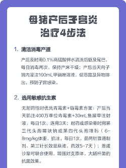 母猪产后子宫炎怎么办