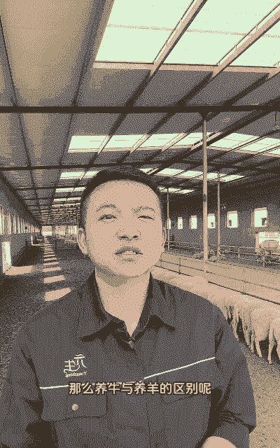 养牛养羊老板娘是谁啊