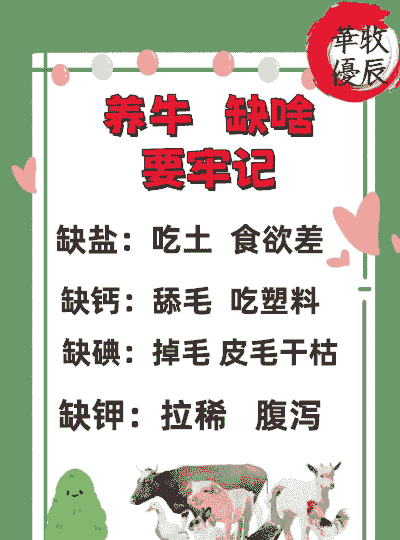 养牛不可以养羊吗为什么