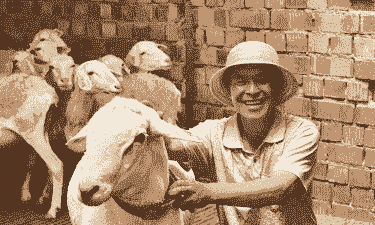 养牛养羊的小伙子叫什么